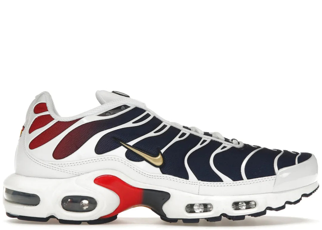 Nike Air Max Plus PSG