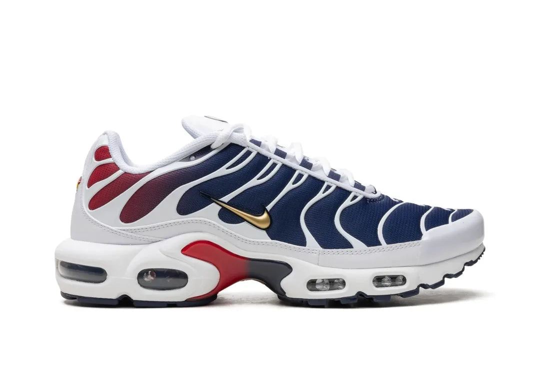 Nike Air Max Plus PSG